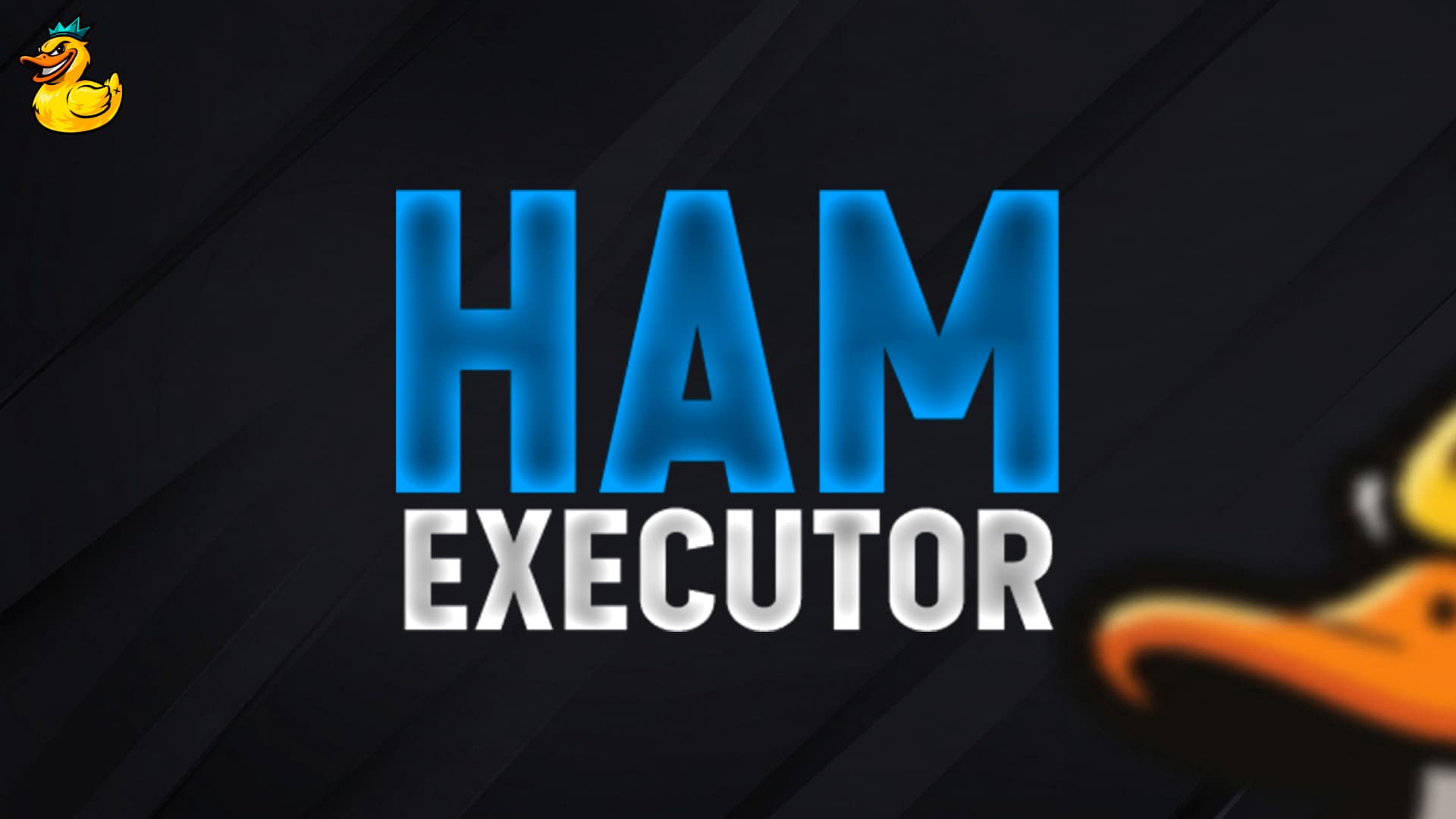 Ham Executor
